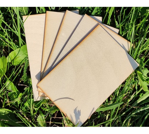 Набор для выжигания и творчества: 5 березовых фанерных дощечек 9x13.5 см толщина 3 мм (ФК, Россия)